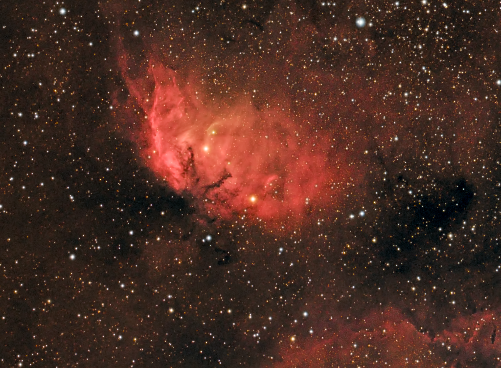 Tulip Nebula (SH2-101)