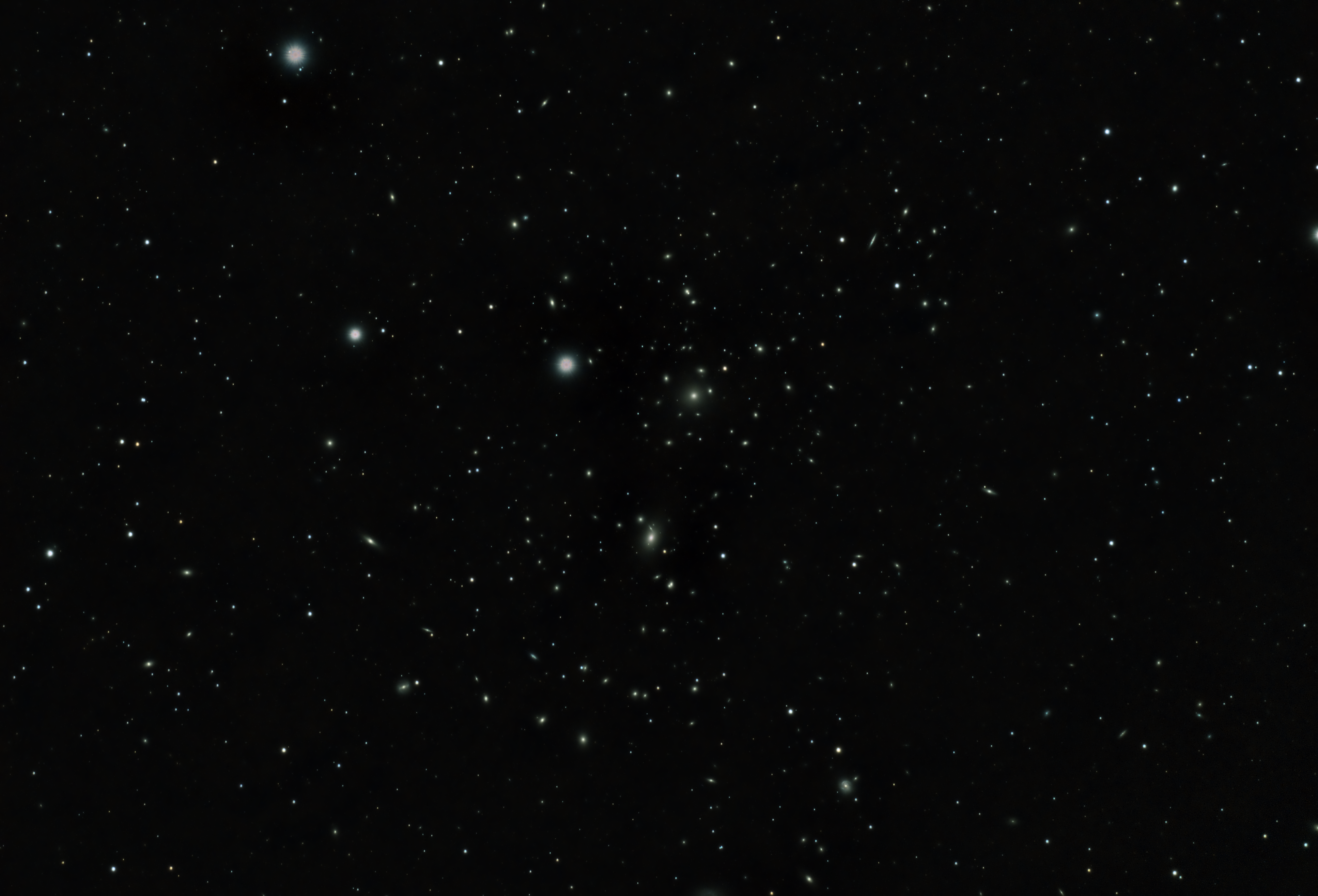 Abell 1656 in Coma Berenices