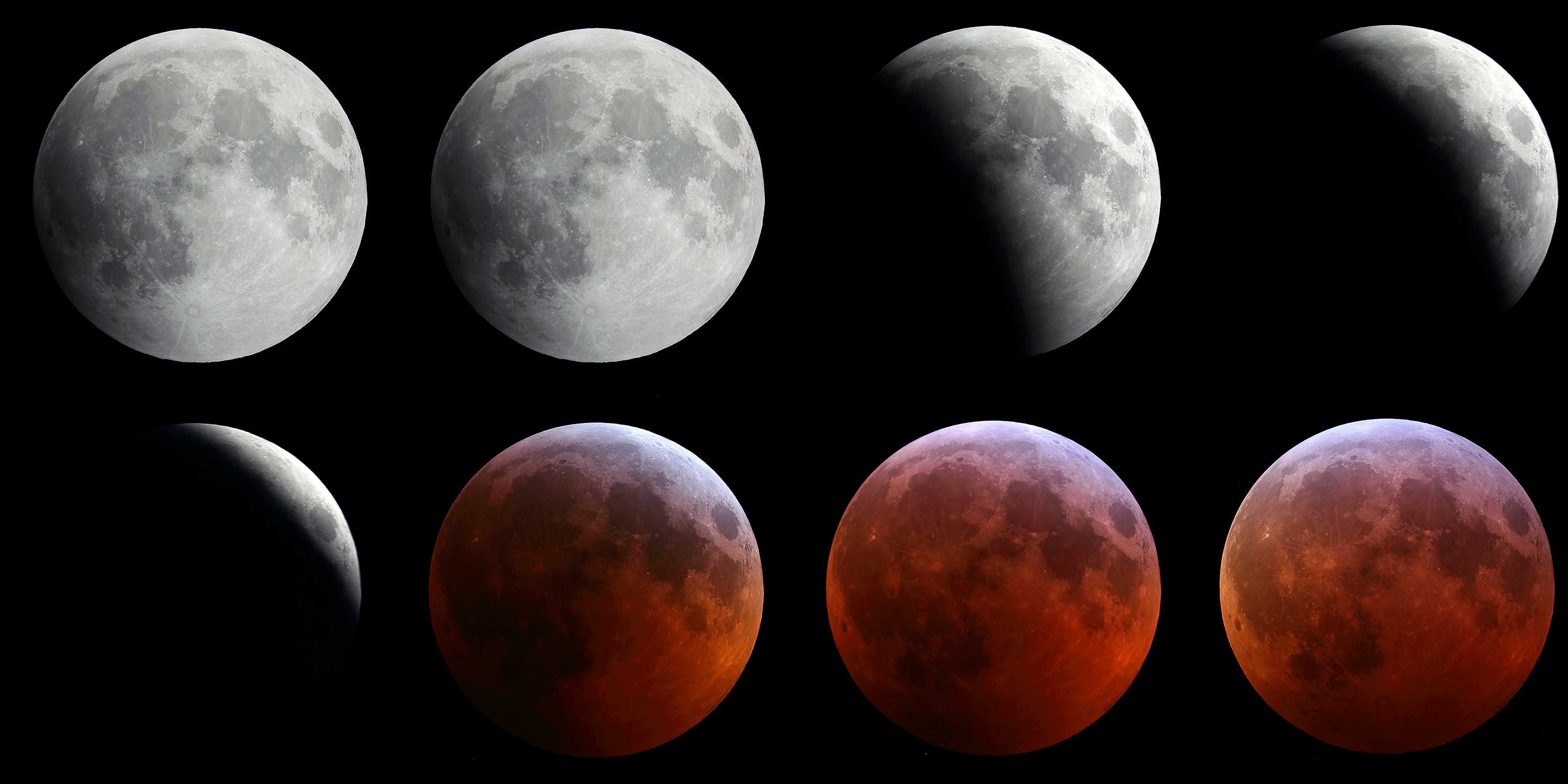 2019 Lunar Eclipse