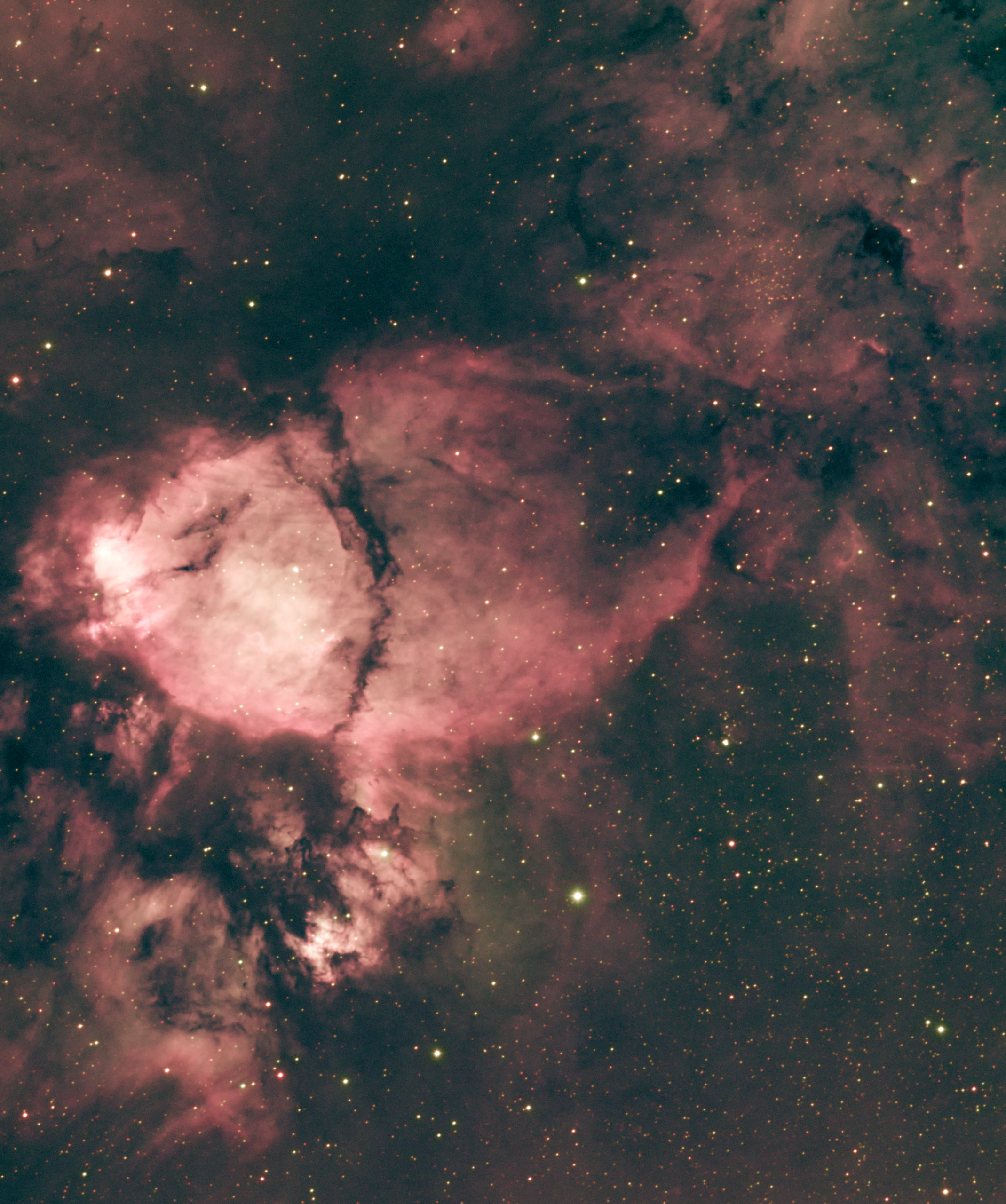 Fish-Head Nebula