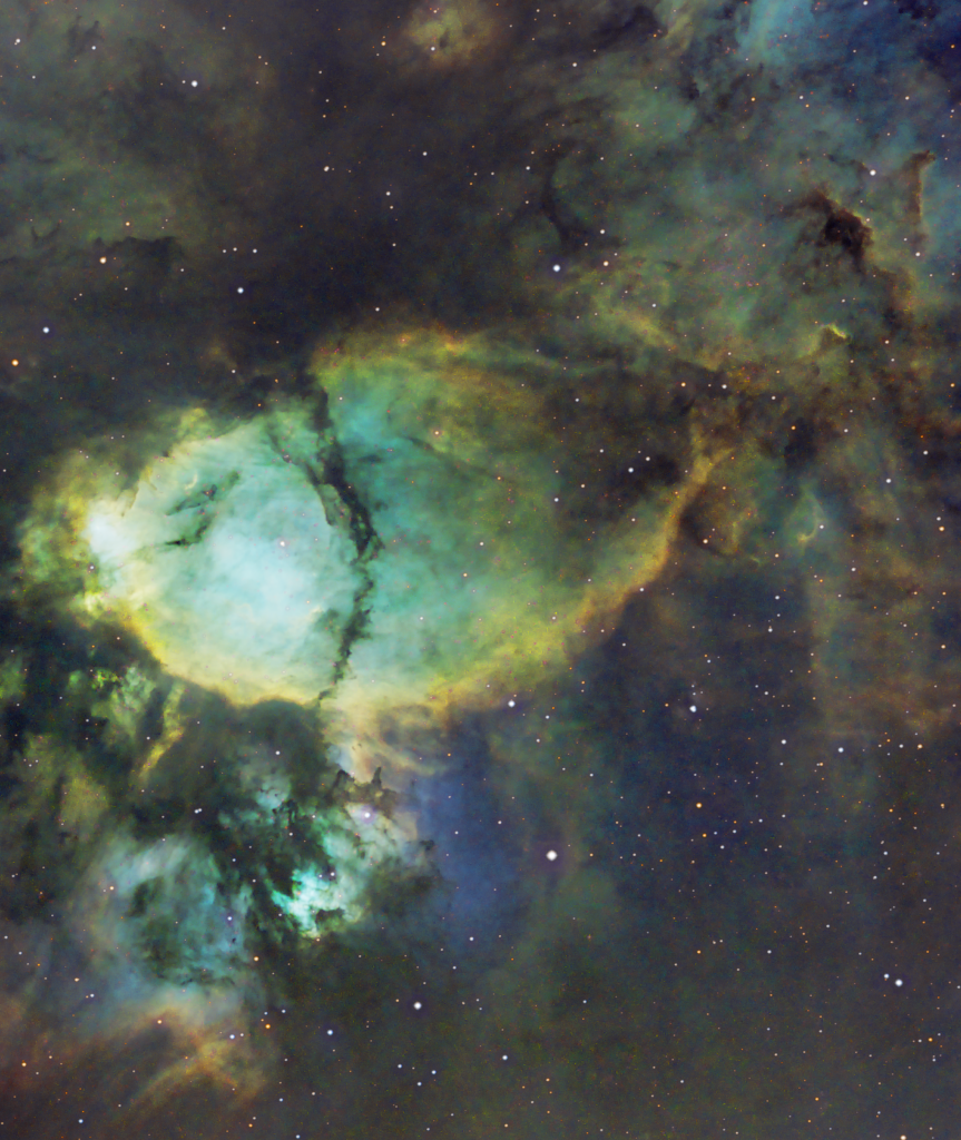 Fish Head Nebula