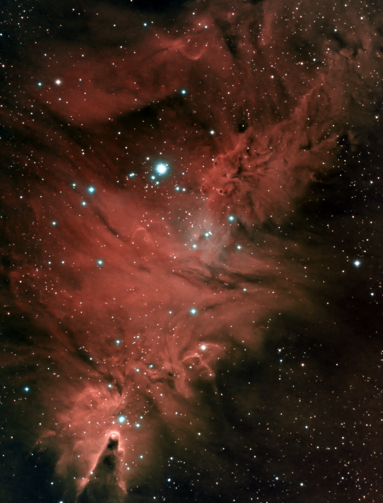 Cone and Fox Fur Nebulas