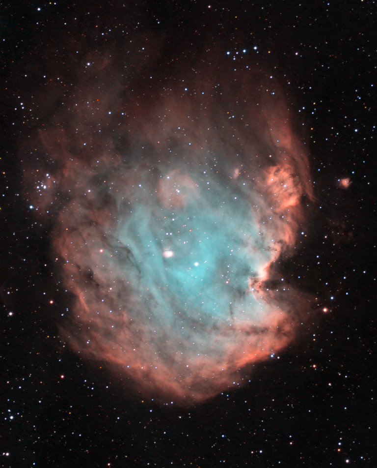 The Monkey Head Nebula