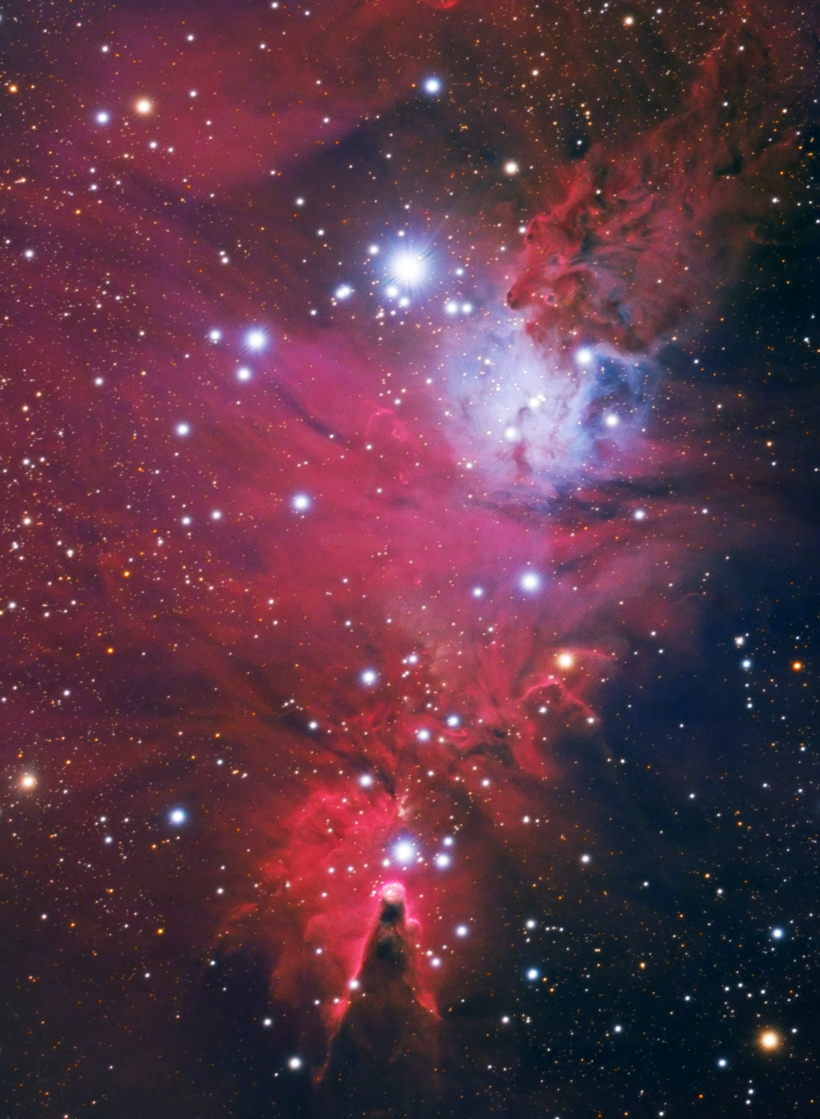 Cone & Fox Fur nebulas