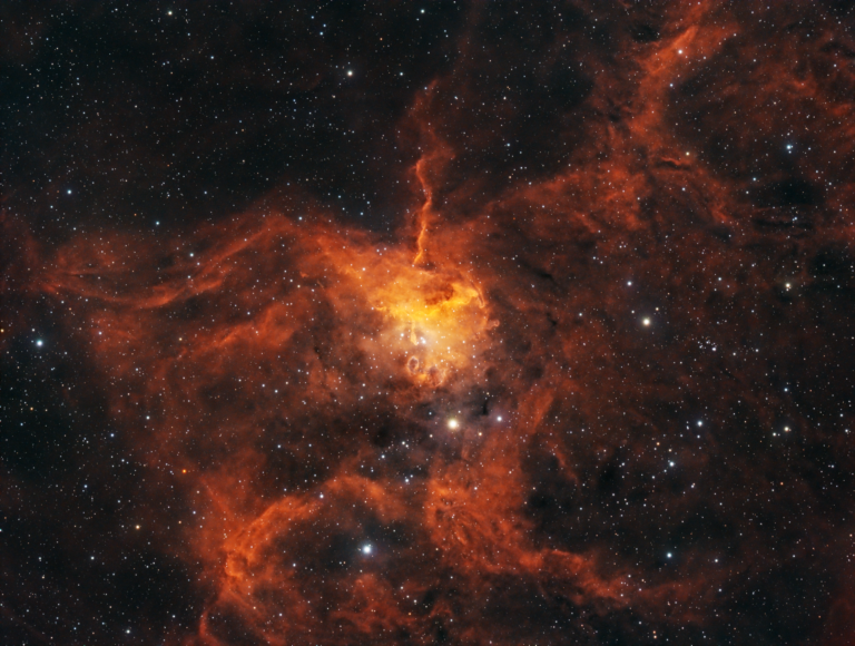 The Spider Nebula