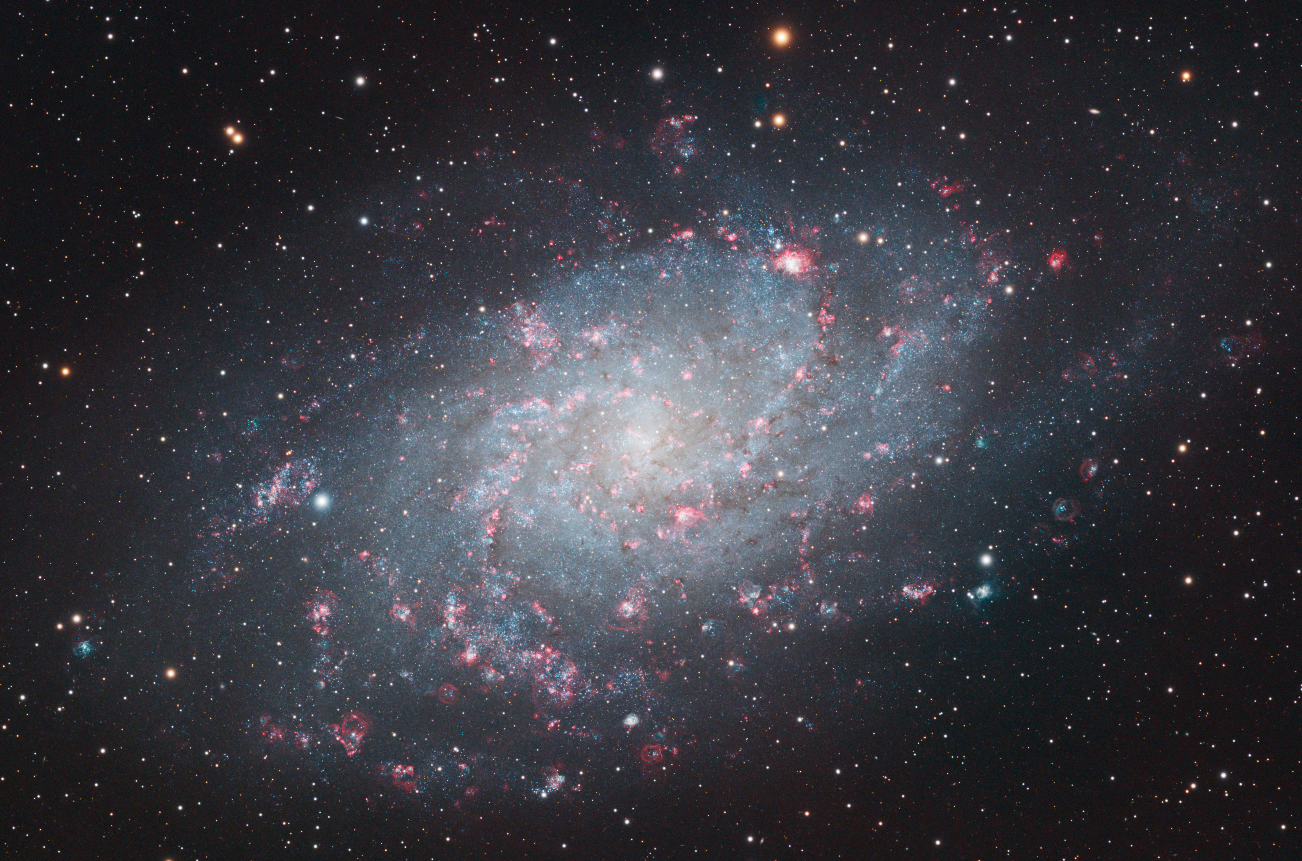M33