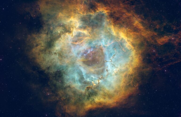 Revisiting the Rosette