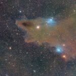 The Dark Shark Nebula