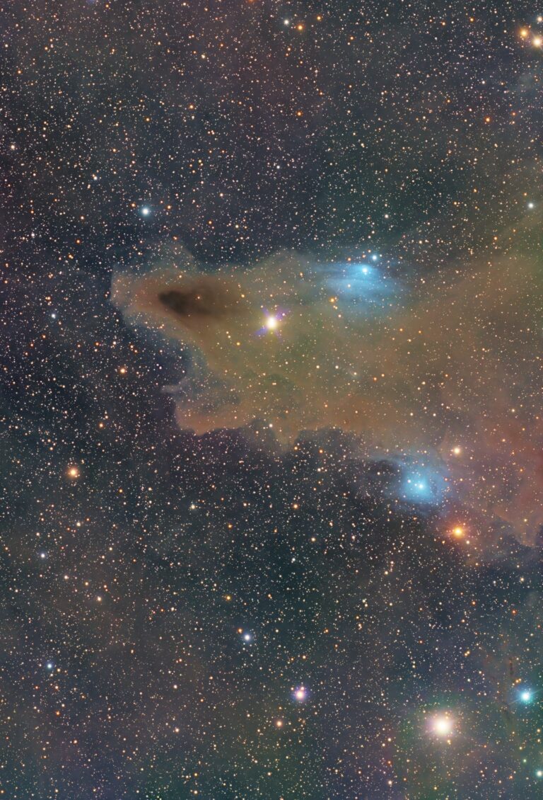 The Dark Shark Nebula