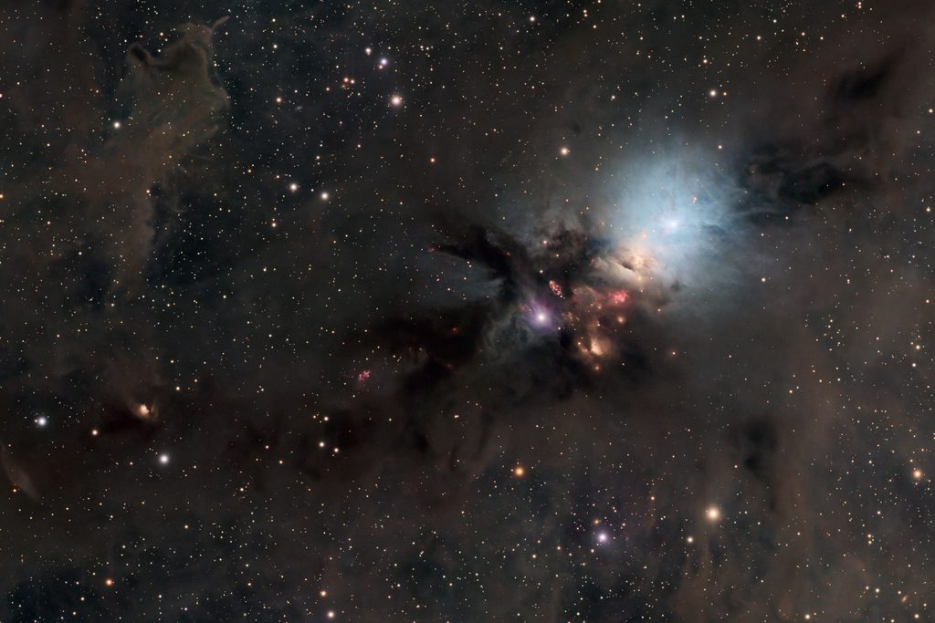 Embryo Nebula
