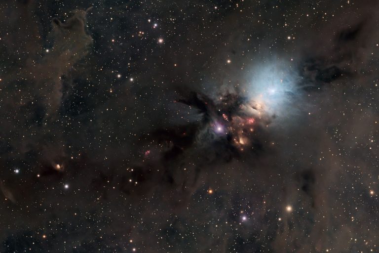 The Embryo Nebula
